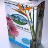 Aquallusion Floral Epoxy Resin