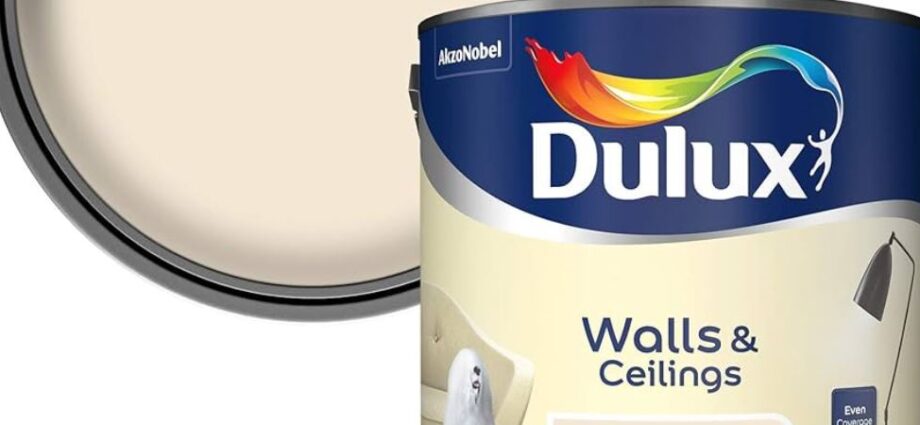 Acrylics / Sadocryl Paints in Uganda – Premium Water Based Wall Paints by Raek Chemicals Limited